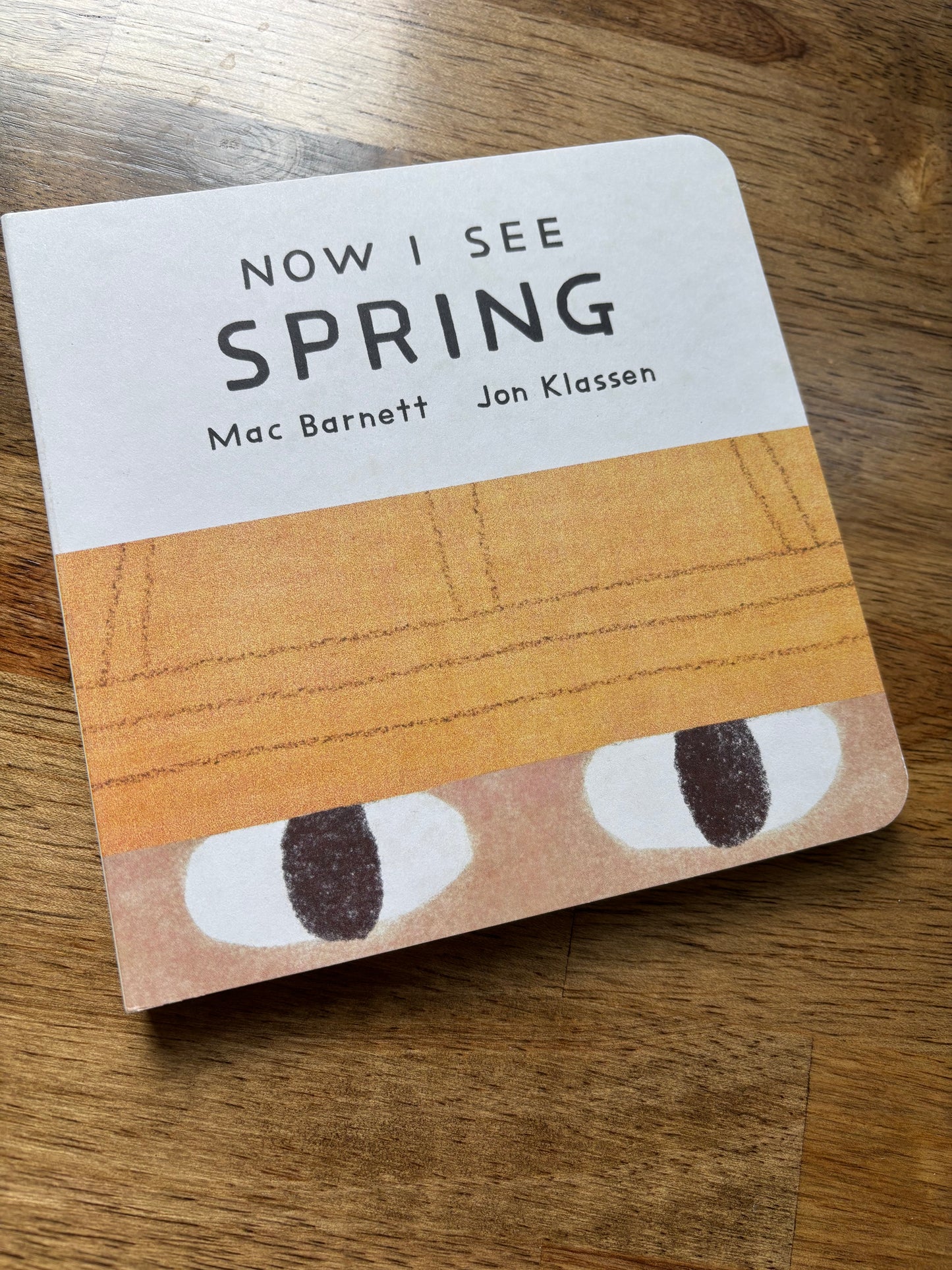 Now I See Spring