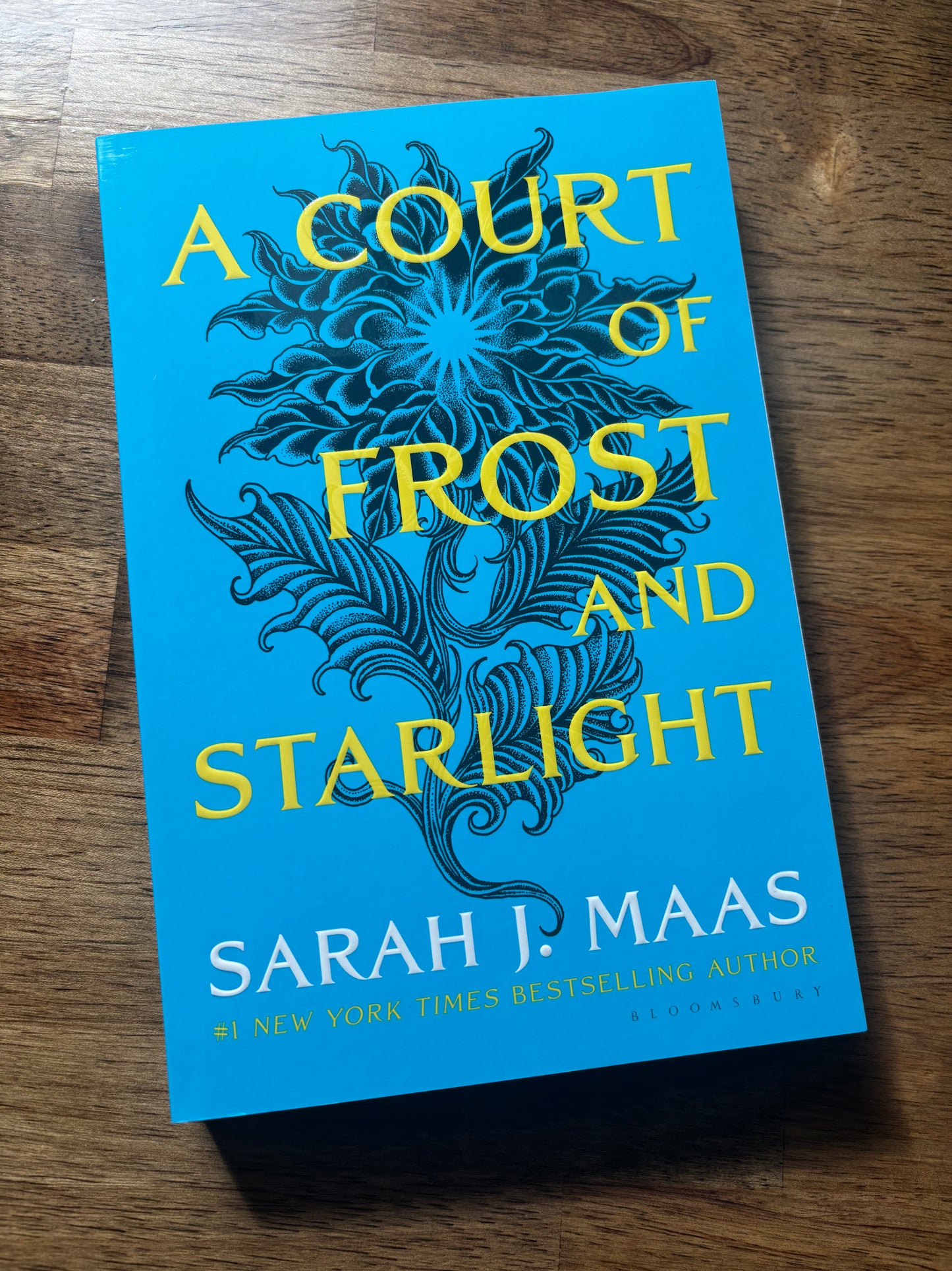A Court of Frost and Starlight (ACOTAR #4)