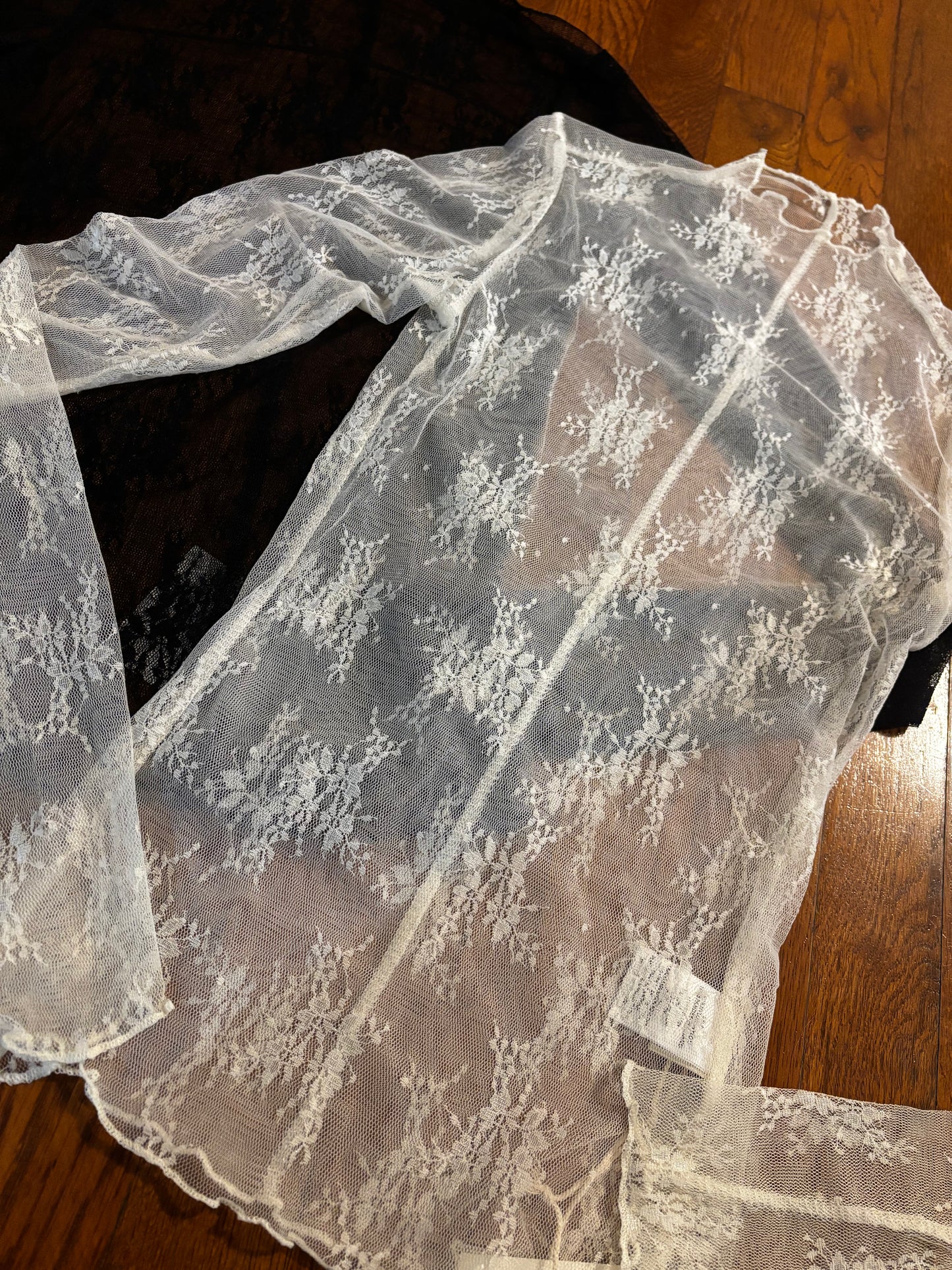 Sheer Lace Long Sleeve