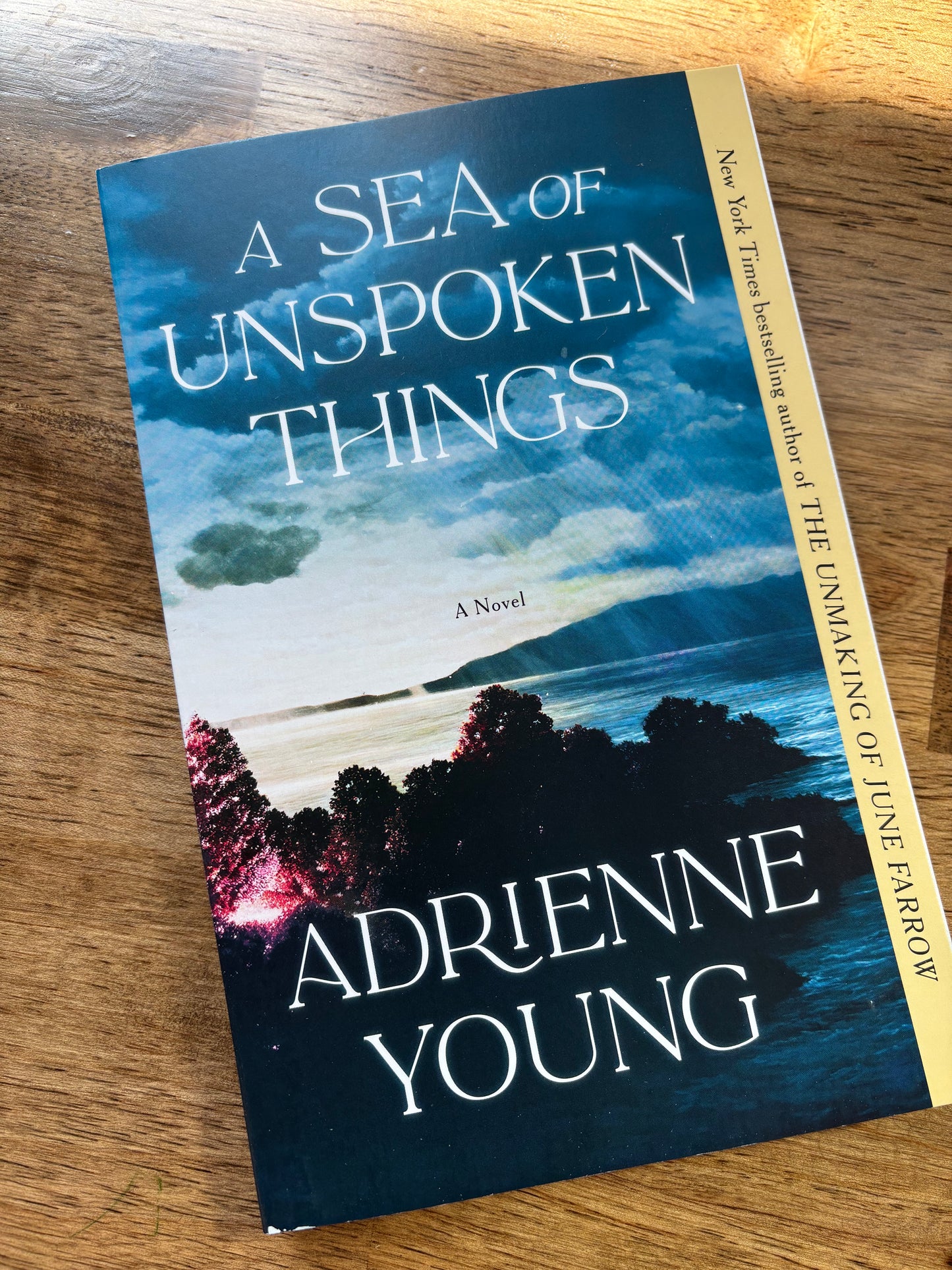 A Sea of Unspoken Things